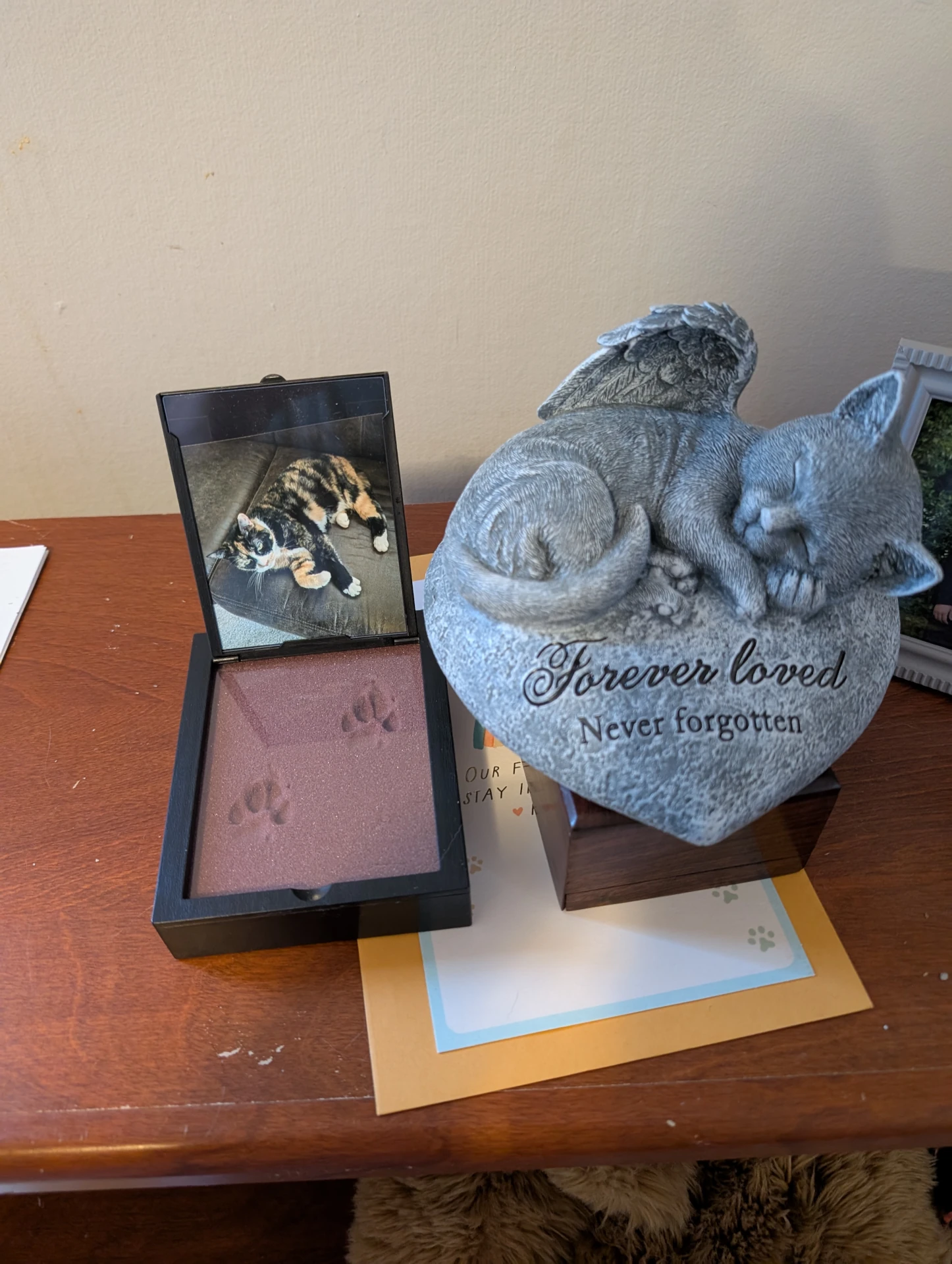 Closeup of Butterscotch’s memorial with paw impressions shown and legible writing of stone saying “Forever Loved, never forgotten”